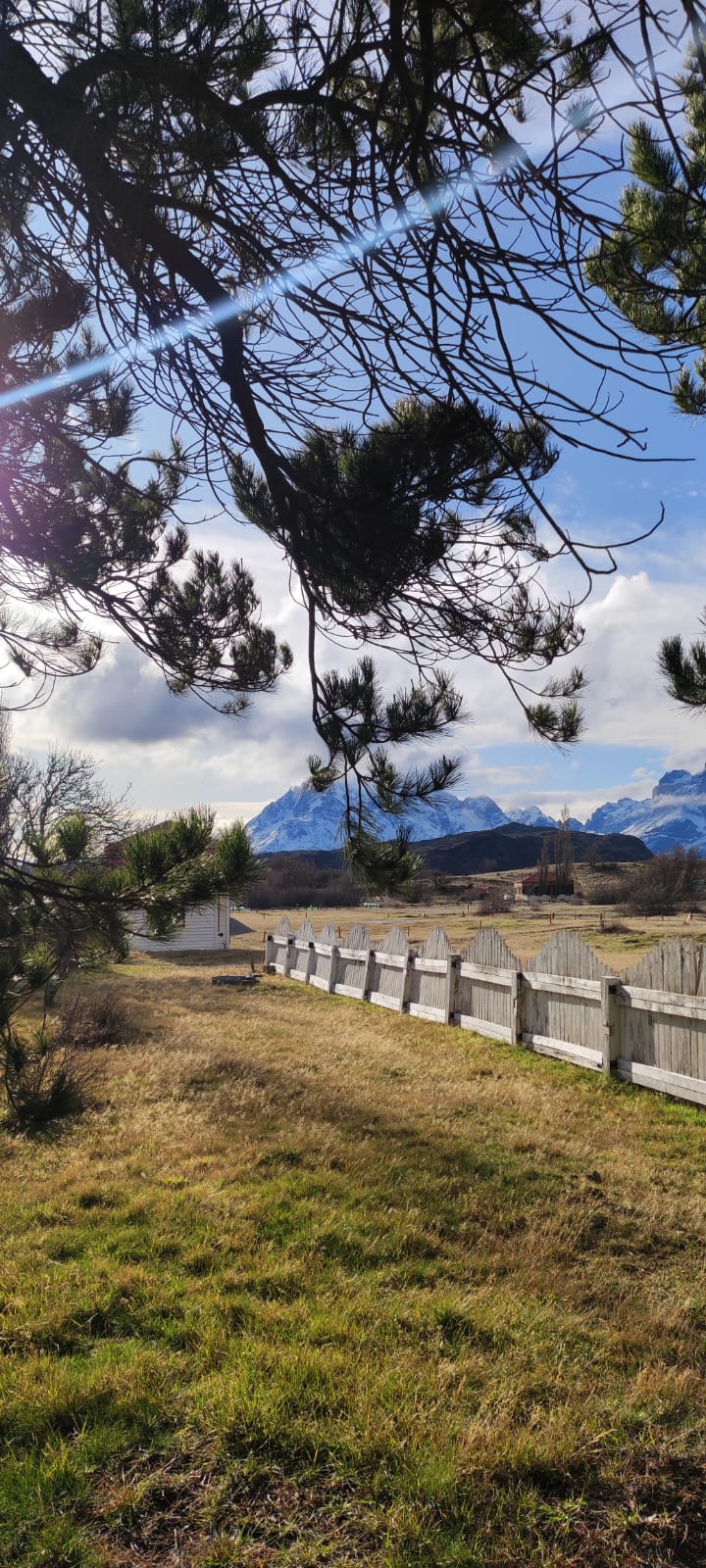 Vista de las Torres del Paine desde una estancia con pinos y cerco de madera